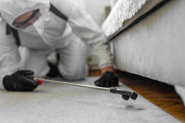 Professional Cockroach Control technician working in Madison, OH