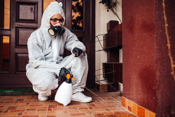 Reliable Cockroach Control contractor in Madison, OH by Nex Pest Control